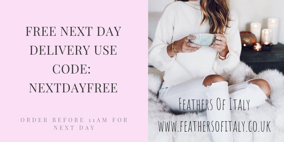 FREE NEXT DAY DELIVERY