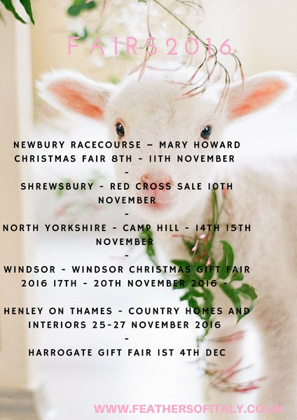 Feathers of Italy - Fairs 2016