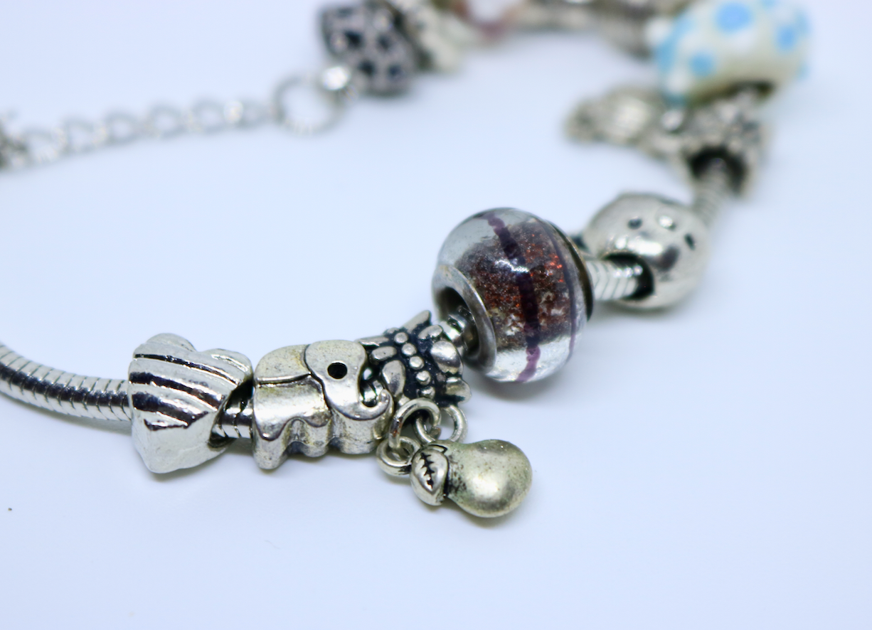 Children's pandora 2025 bracelets and charms